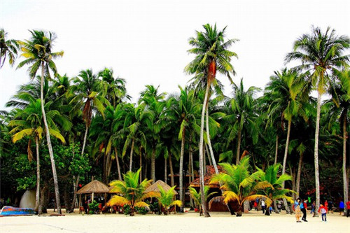 五行缺肉特色肉小食