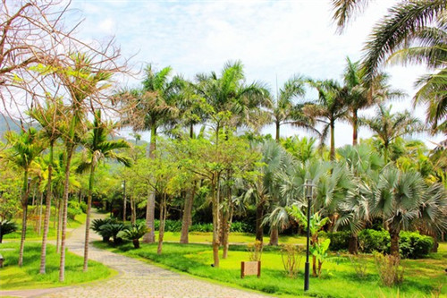 抖音合作直播怎么分成，抖音和主播如何分成