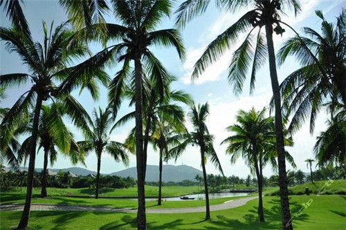 梁河縣夏天去哪旅游醉合適
