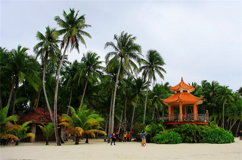 加盟那時天山新疆手抓飯在永清縣開店好不好經營 加盟那時天山新疆手抓飯在永清縣開店好不好經營