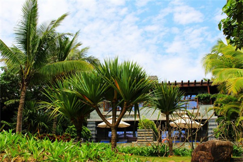 花地瑪堂區好吃又健康的特產美食有哪些，花地瑪堂區有什么大學