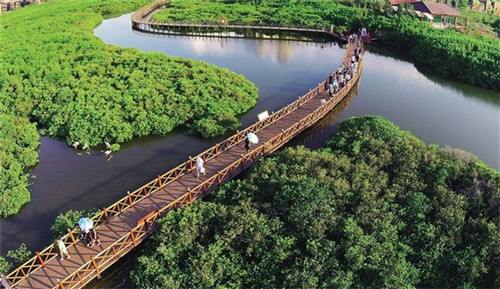 雞味食族加盟有哪些好處 雞味食族加盟有哪些好處