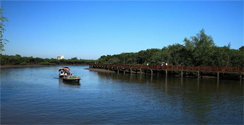 綠野仙蹤奶茶2025年還可以在吳忠市加盟嗎