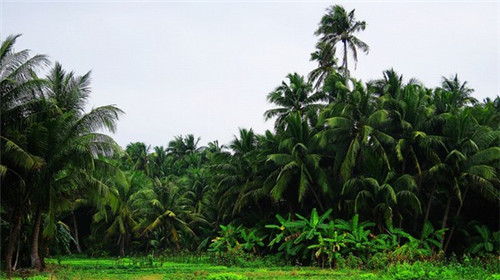 漳縣購房的外省人真的后悔了嗎現在 漳縣購房的外省人真的后悔了嗎現在